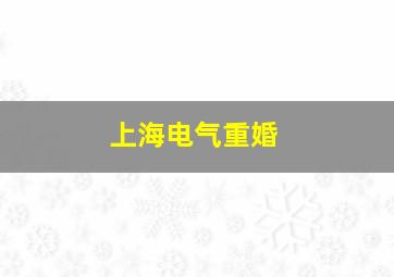 上海电气重婚