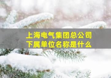 上海电气集团总公司下属单位名称是什么