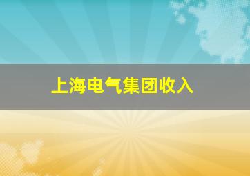 上海电气集团收入