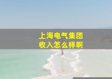 上海电气集团收入怎么样啊