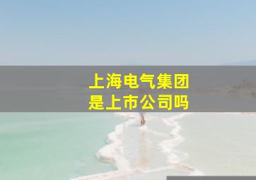 上海电气集团是上市公司吗