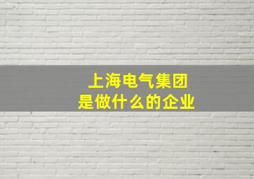 上海电气集团是做什么的企业