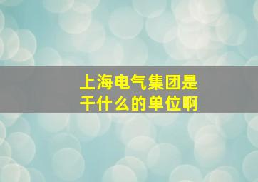 上海电气集团是干什么的单位啊