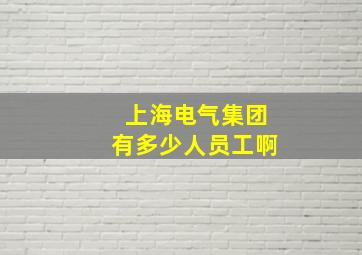 上海电气集团有多少人员工啊