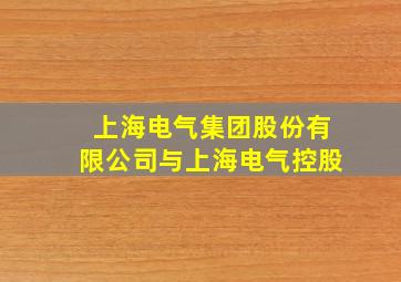 上海电气集团股份有限公司与上海电气控股