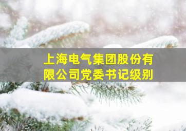 上海电气集团股份有限公司党委书记级别