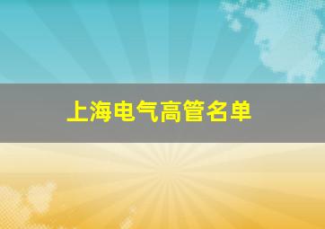 上海电气高管名单