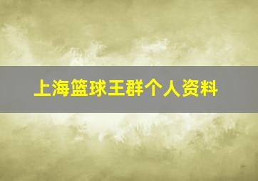 上海篮球王群个人资料