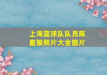 上海篮球队队员陈盈骏照片大全图片