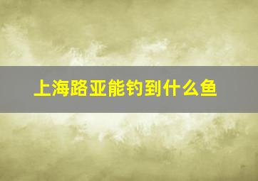 上海路亚能钓到什么鱼