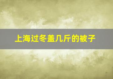 上海过冬盖几斤的被子