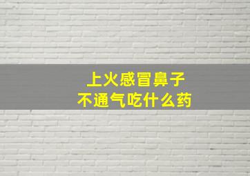 上火感冒鼻子不通气吃什么药