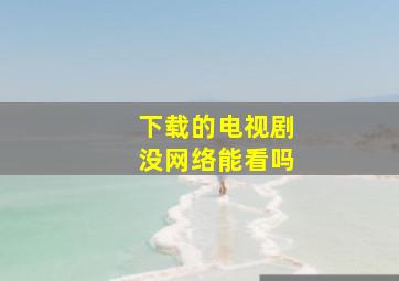 下载的电视剧没网络能看吗