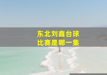 东北刘鑫台球比赛是哪一集