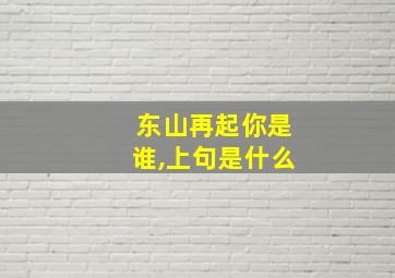 东山再起你是谁,上句是什么