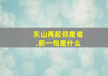 东山再起你是谁,前一句是什么