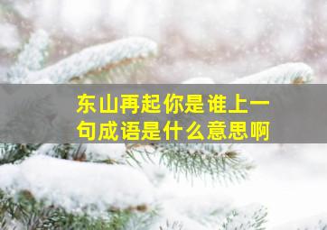 东山再起你是谁上一句成语是什么意思啊