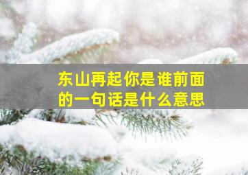 东山再起你是谁前面的一句话是什么意思