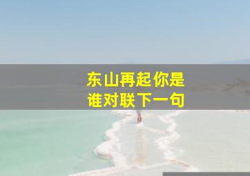 东山再起你是谁对联下一句