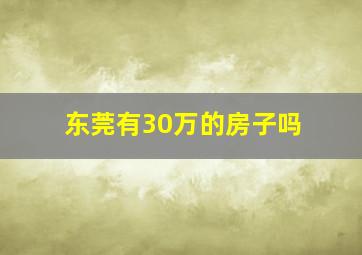 东莞有30万的房子吗