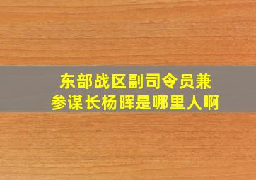 东部战区副司令员兼参谋长杨晖是哪里人啊