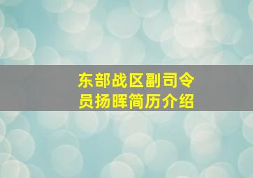 东部战区副司令员扬晖简历介绍