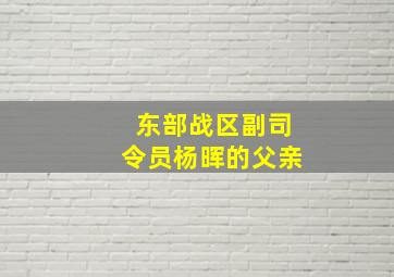 东部战区副司令员杨晖的父亲