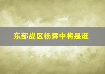 东部战区杨晖中将是谁