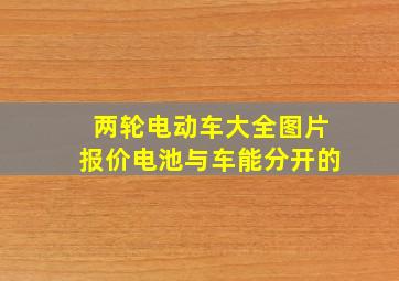 两轮电动车大全图片报价电池与车能分开的