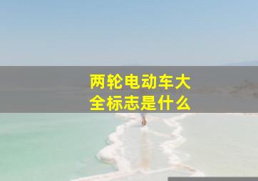 两轮电动车大全标志是什么