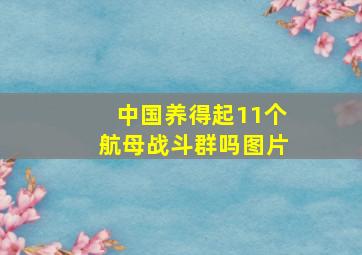 中国养得起11个航母战斗群吗图片