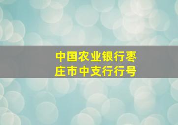 中国农业银行枣庄市中支行行号