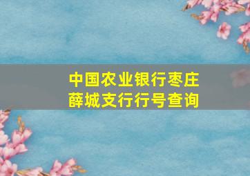 中国农业银行枣庄薛城支行行号查询