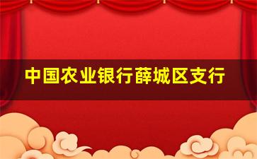 中国农业银行薛城区支行