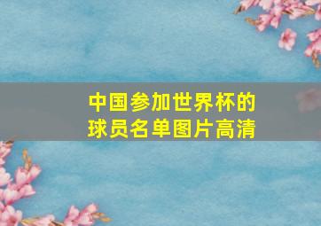 中国参加世界杯的球员名单图片高清