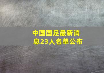 中国国足最新消息23人名单公布