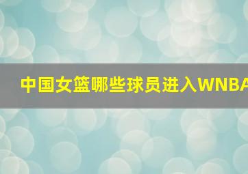 中国女篮哪些球员进入WNBA