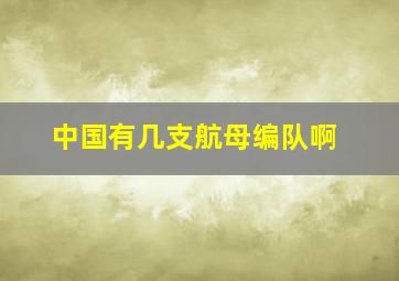 中国有几支航母编队啊