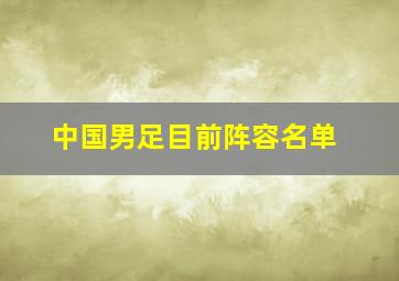 中国男足目前阵容名单