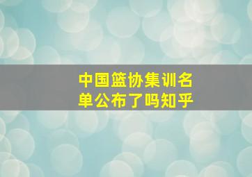 中国篮协集训名单公布了吗知乎