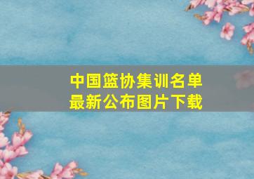 中国篮协集训名单最新公布图片下载