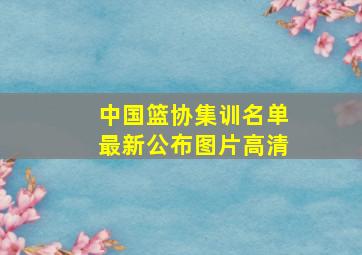 中国篮协集训名单最新公布图片高清