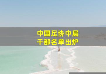 中国足协中层干部名单出炉