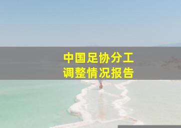 中国足协分工调整情况报告