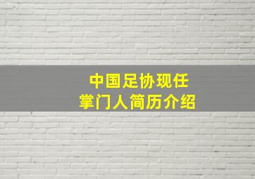 中国足协现任掌门人简历介绍