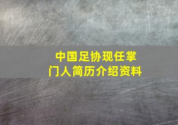 中国足协现任掌门人简历介绍资料