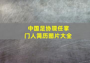 中国足协现任掌门人简历图片大全