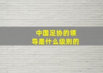 中国足协的领导是什么级别的