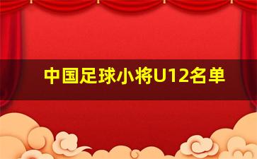 中国足球小将U12名单