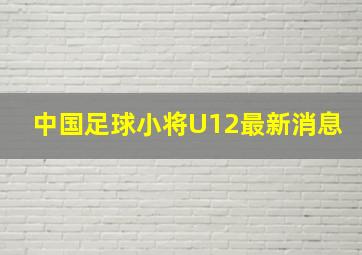 中国足球小将U12最新消息